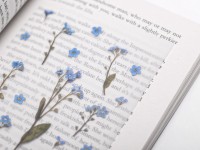 Pressed Flower Stickers - Forget Me Not