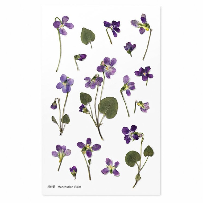 Appree Pressed Flower Stickers - Manchurian Violet - APS-011