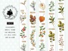 Pre-Order Miaostelle Washi Tape - Autumn Forest