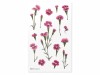 Appree Pressed Flower Stickers - China Pink