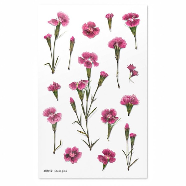 Appree Pressed Flower Sticker - Cherry Blossom