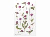Appree Pressed Flower Stickers - Globe Amaranth