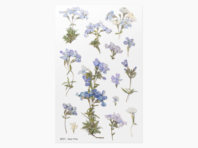 Appree Pressed Flower Stickers - Moss Phlox