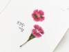 Appree Pressed Flower Stickers - China Pink