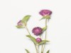Appree Pressed Flower Stickers - Globe Amaranth
