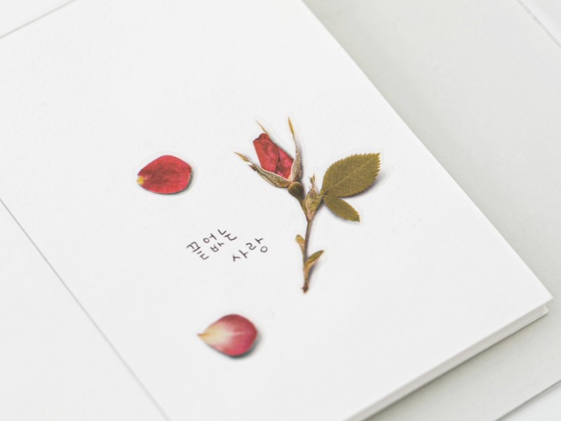 Appree Pressed Flower Stickers - Mini Rose