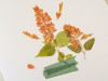 Appree Pressed Flower Stickers - Salvia