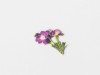Pressed Flower Stickers - Verbena