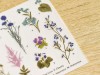 MU Print On Stickers Flower Encyclopedia 127