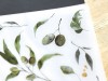 MU Print On Stickers Green Olives