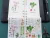 Ponchise Masking Sticker Sheet - March April
