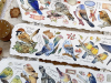 Pre-Order Baicangjia Studio PET Tape - Bird Collection