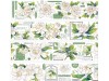 Baicangjia Studio PET Tape - White Gardenia