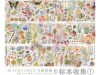 Pre-Order Baicangjia Studio Washi Sticker Roll - Specimen Collection 1
