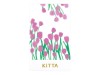 KITTA Washi Tape Stickers KIT071 - Mizuumi