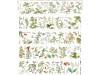 Baicangjia Studio PET Tape - Garden Of Fragrance