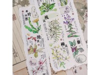 Baicangjia Studio PET Tape - Medical Garden