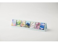 Pre-Order 2025 Himekuri Daily Sticky Calendar - Memory