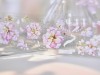 Pre-Order Freckles Tea Clear PET Tape Vol.4 - Floating Dream Florist