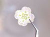 Pre-Order Freckles tea Die-Cut Sticker Tape Vol.4 - Flower Curtain