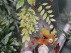 MAE Studio PET Tape Sample - Autumn Wreath