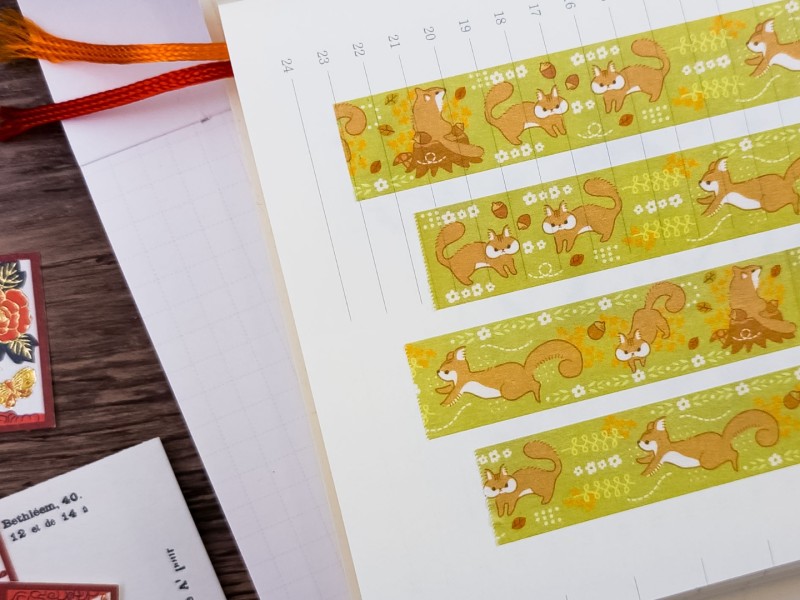 Saien Washi Tape - Squirrel