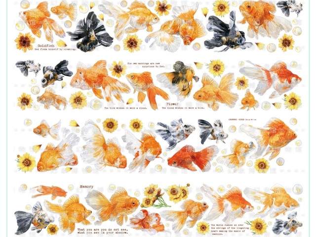 MOI Studio Washi Tape Sample - Goldfish