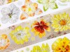 Pre-Order Baicangjia Studio Die-Cut Tape - Honey Orange