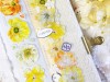 Pre-Order Baicangjia Studio Die-Cut Tape - Honey Orange