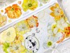 Pre-Order Baicangjia Studio Die-Cut Tape - Honey Orange