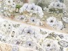 Pre-Order Baicangjia Studio Die-Cut PET Tape - Misty Blossoms