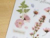 MU Print On Stickers Pressed Flowers Red 104