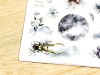 MU | Print-On Siirtotarrat 125 - Täysikuun hyönteiset