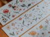 Meow Illustration Washi Tape - Flower Field