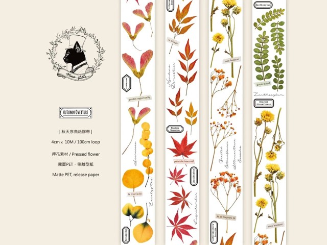 Miao Stelle Matte PET Tape - Autumn Overture