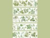 Pre-Order Moodtape Botanical Tape - Blooming Leaves