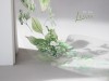 Pre-Order Moodtape Botanical Tape - Blooming Leaves