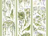 Pre-Order Moodtape Botanical Tape - Branches And Leaves