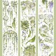 Pre-Order Moodtape Botanical Tape - Branches And Leaves