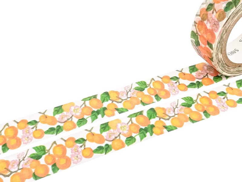 Saien Japanese Washi Tape - Apricots