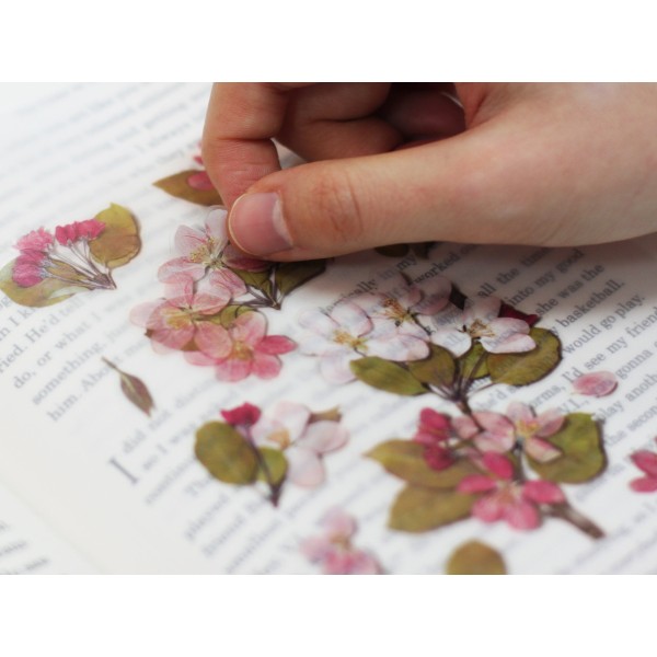 Appree Pressed Flower Stickers - Bigleaf Hydrangea