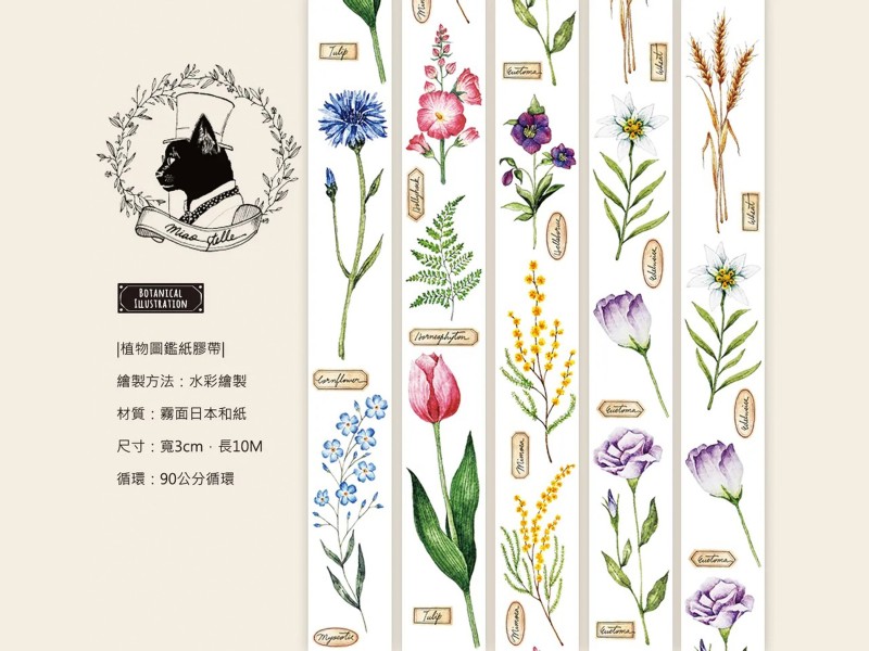 Pre-Order Miao Stelle Washi Tape - Botanical Illustration