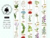 Pre-Order Miao Stelle Washi Tape - Summer Forest