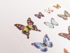 Mindwave Specimen Stickers - Butterflies