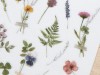 MU Print-On Stickers 194 - Floral Memories